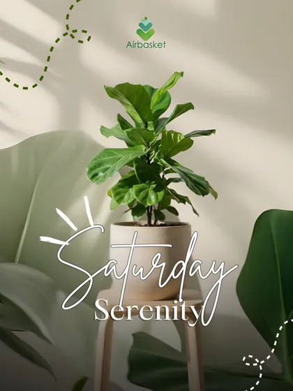 Saturday serenity, powered by fresh greens. Weekends are for slowing down, breathing deep, and enjoying calm moments in your favorite green corner.