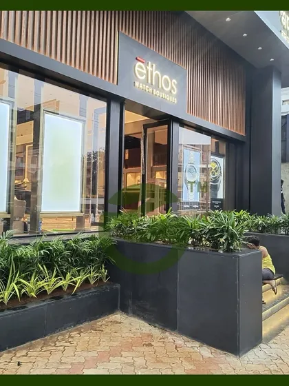 A touch of green can completely transform a commercial entrance. For the Ethos watch boutique, we designed and installed these sleek, modern planters filled with lush foliage to create a welcoming and sophisticated entryway that reflects the brand's elegance.