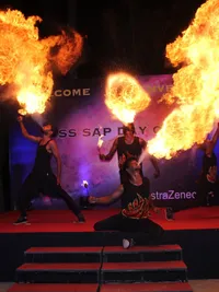 Specialty Stage Shows
